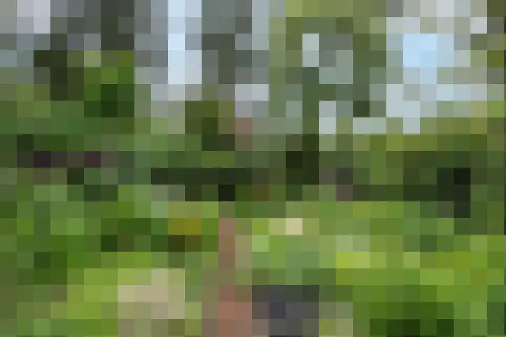 Plasweg 50 Soest thumbnail 57