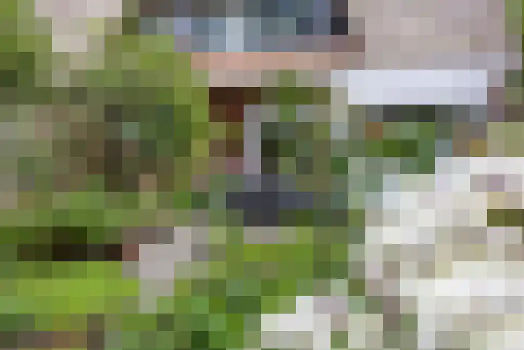 Plasweg 50 Soest thumbnail 58