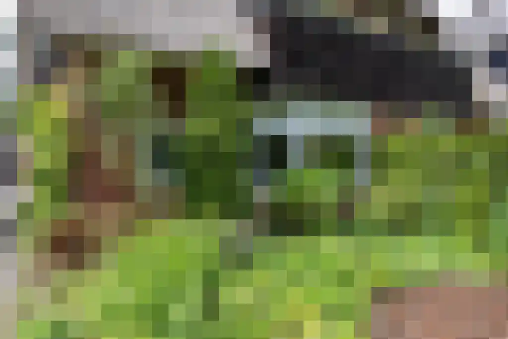 Plasweg 50 Soest thumbnail 64