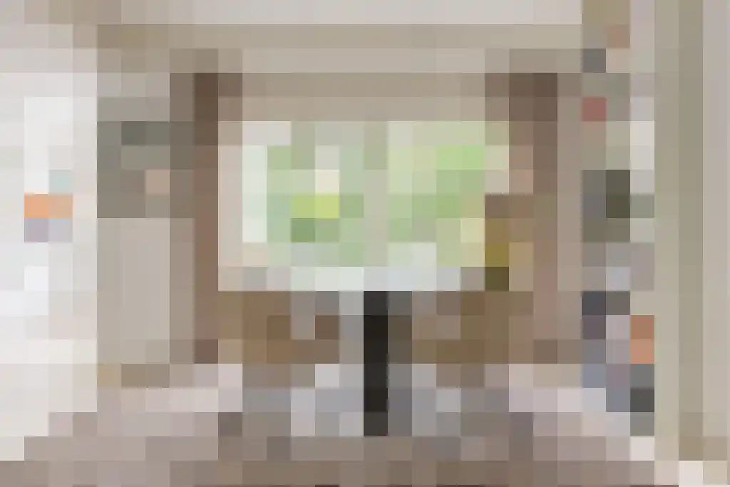 Plasweg 50 Soest thumbnail 8