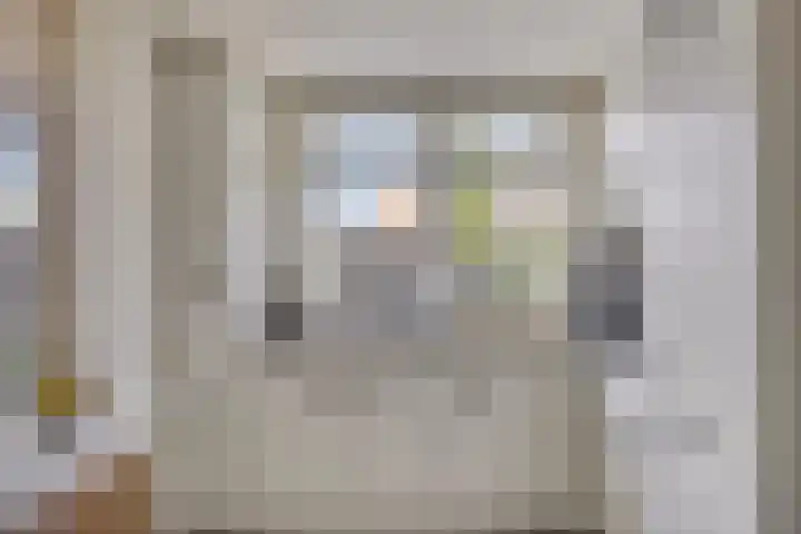 Plasweg 58 IJsselmuiden thumbnail 14