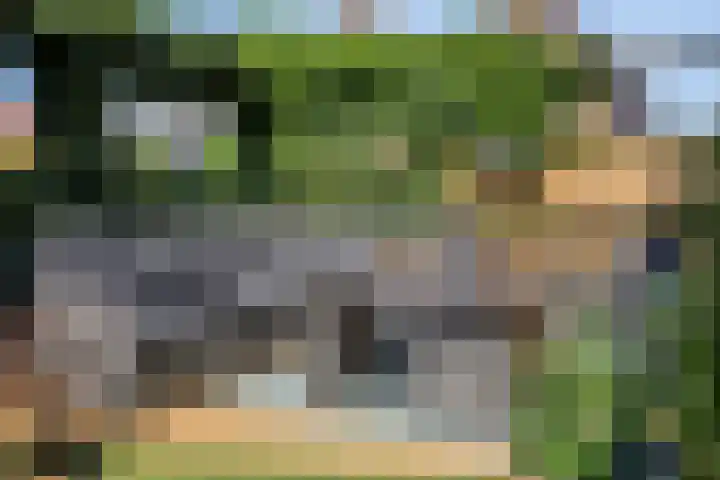 Plasweg 58 IJsselmuiden thumbnail 17