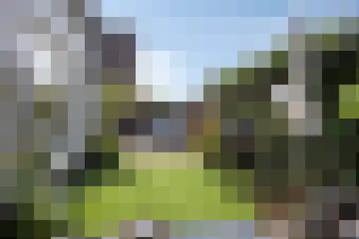 Plasweg 58 IJsselmuiden thumbnail 18