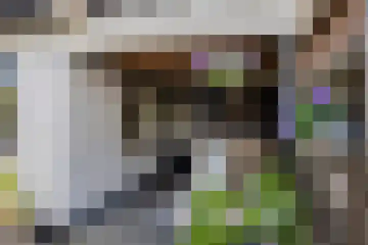 Plasweg 58 IJsselmuiden thumbnail 19