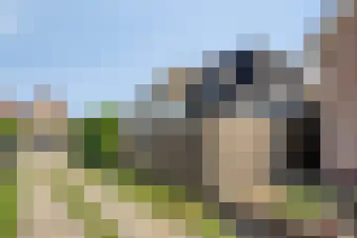 Plasweg 58 IJsselmuiden thumbnail 4
