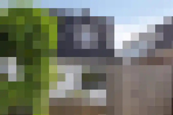 Plasweg 58 IJsselmuiden thumbnail 6