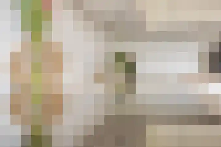 Plasweg 8 Soest thumbnail 12