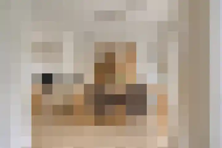 Plasweg 8 Soest thumbnail 13