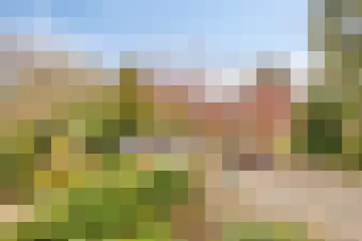 Plasweg 8 Soest thumbnail 26