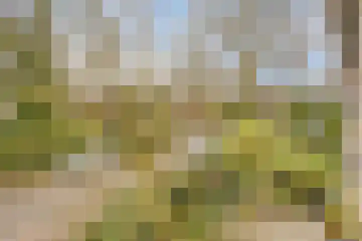 Plasweg 8 Soest thumbnail 27
