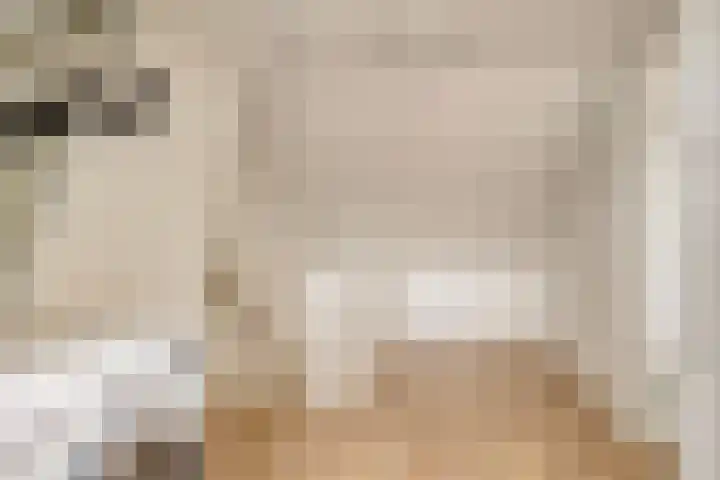 Plasweg 8 Soest thumbnail 30