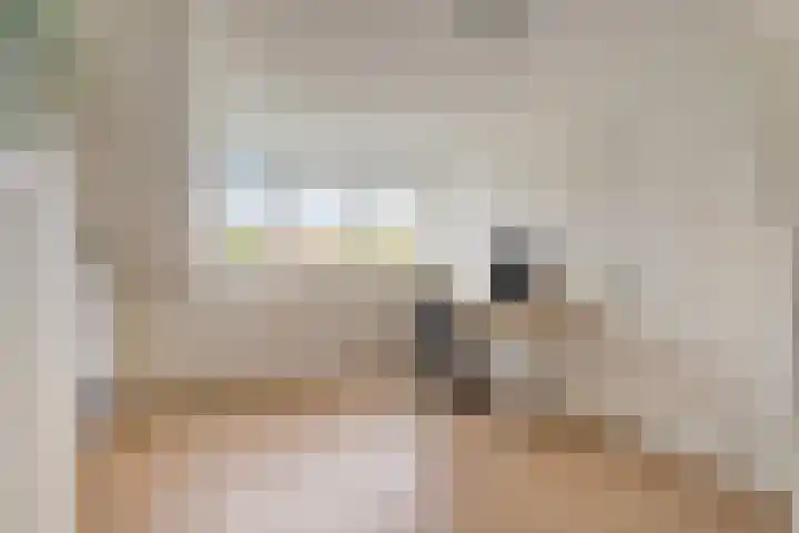 Plasweg 8 Soest thumbnail 31