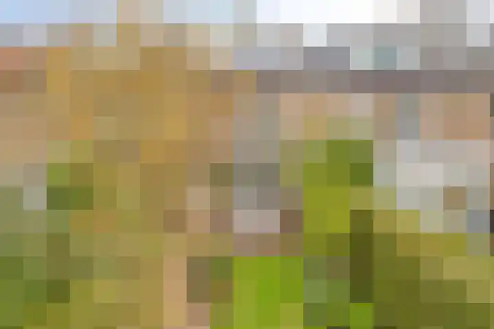 Plasweg 8 Soest thumbnail 34