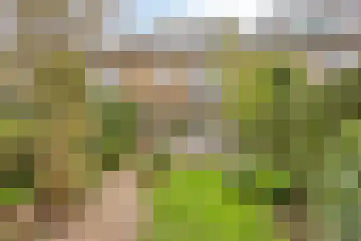 Plasweg 8 Soest thumbnail 35