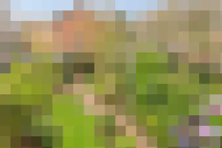 Plasweg 8 Soest thumbnail 37