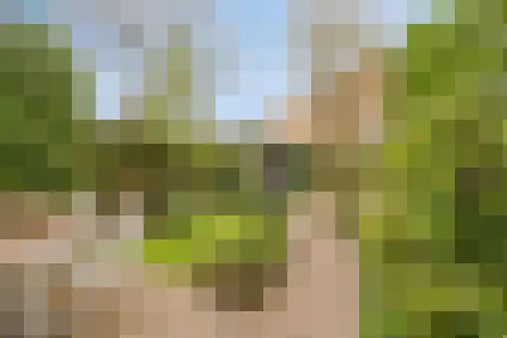 Plasweg 8 Soest thumbnail 38
