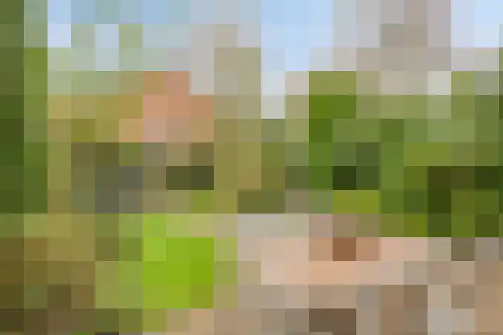 Plasweg 8 Soest thumbnail 39