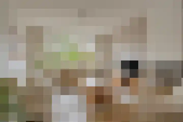 Plasweg 8 Soest thumbnail 4