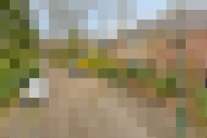 Plasweg 8 Soest thumbnail 41