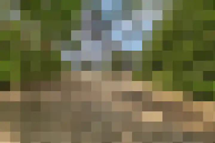 Plasweg 8 Soest thumbnail 42