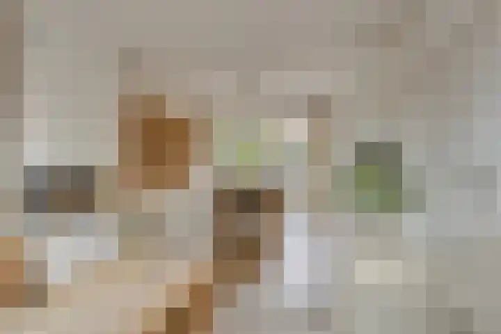 Plasweg 8 Soest thumbnail 7