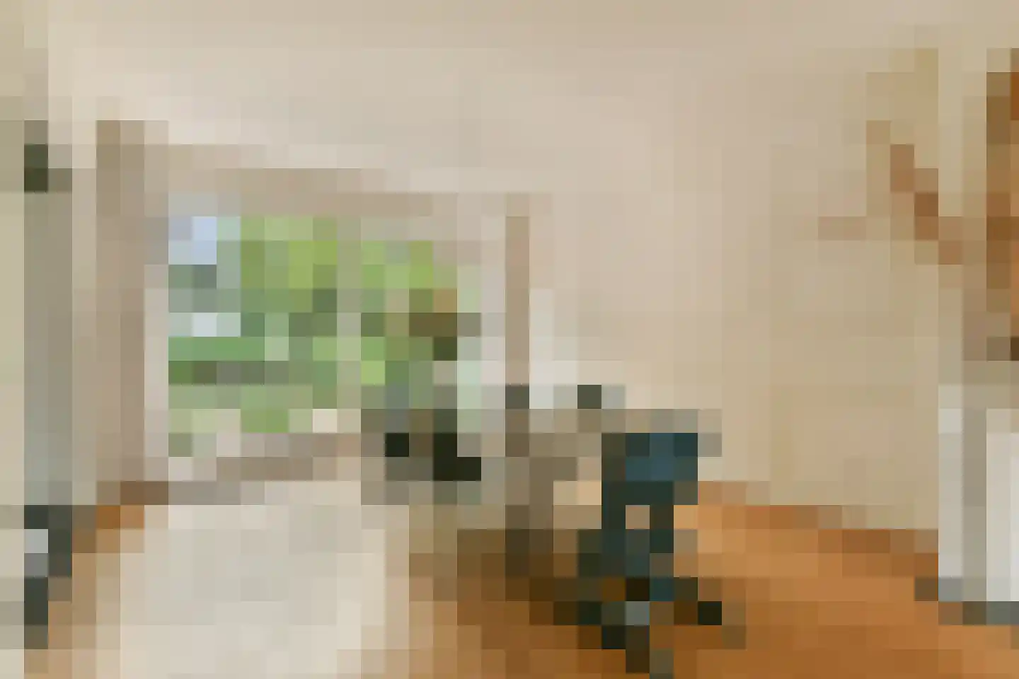 Plaswijcklaan 15 Rotterdam thumbnail 12