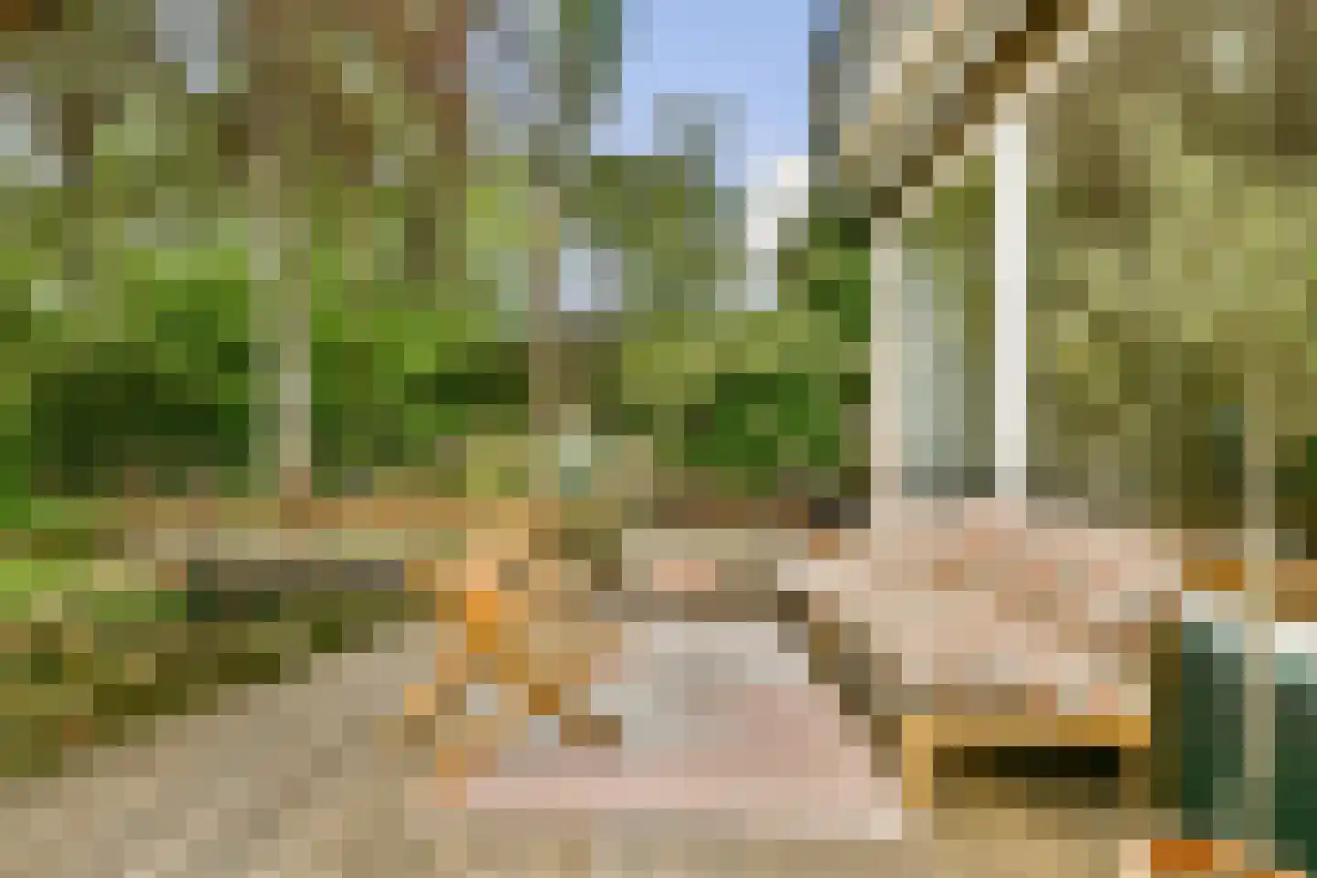 Plaswijcklaan 15 Rotterdam thumbnail 17