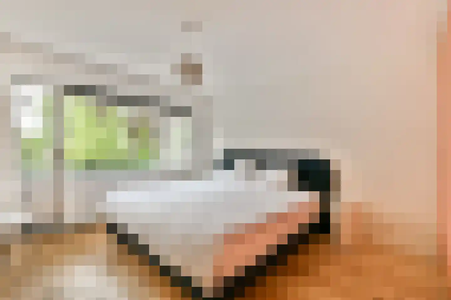 Plaswijcklaan 15 Rotterdam thumbnail 20