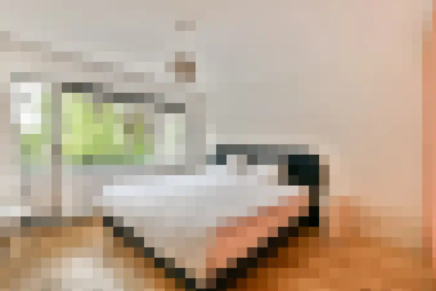 Plaswijcklaan 15 Rotterdam thumbnail 20