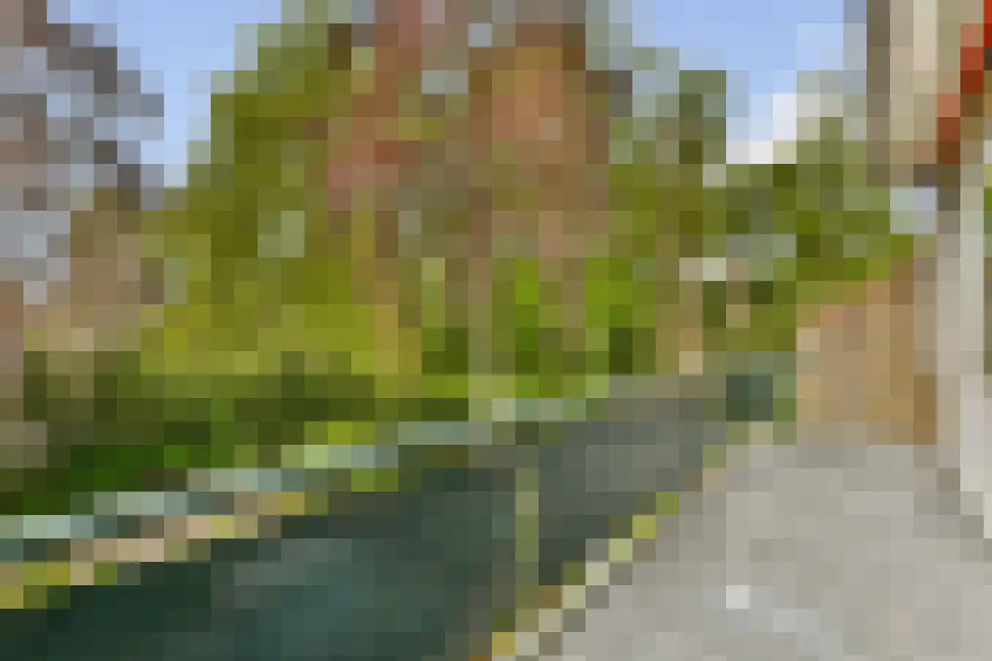 Plaswijcklaan 15 Rotterdam thumbnail 22