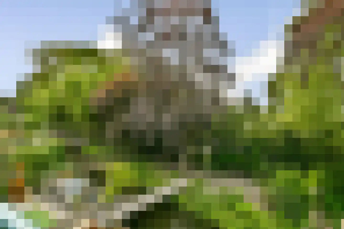 Plaswijcklaan 15 Rotterdam thumbnail 23