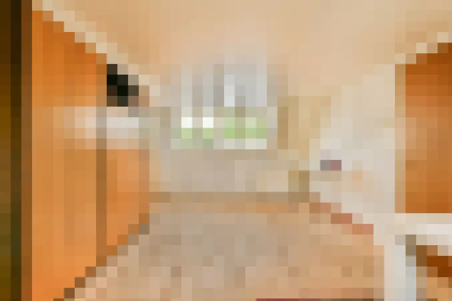 Plaswijcklaan 15 Rotterdam thumbnail 29