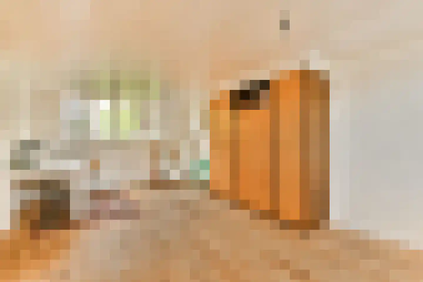 Plaswijcklaan 15 Rotterdam thumbnail 30