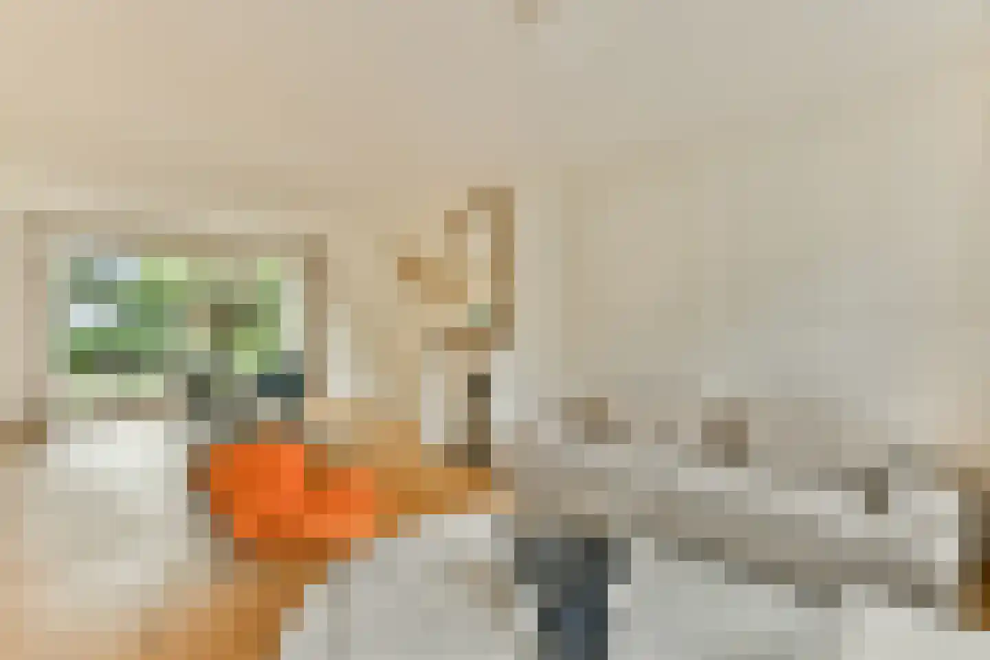 Plaswijcklaan 15 Rotterdam thumbnail 9