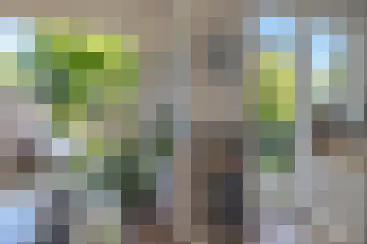 Plaswijcklaan 44 Rotterdam thumbnail 11