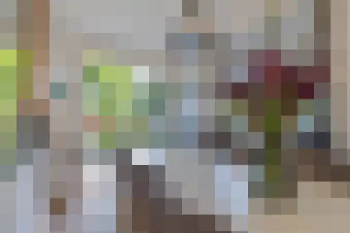 Plaswijcklaan 44 Rotterdam thumbnail 12