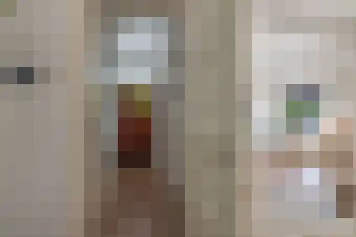 Plaswijcklaan 44 Rotterdam thumbnail 13