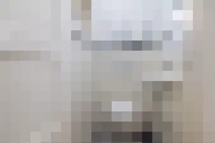Plaswijcklaan 44 Rotterdam thumbnail 14