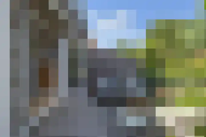 Plaswijcklaan 44 Rotterdam thumbnail 15