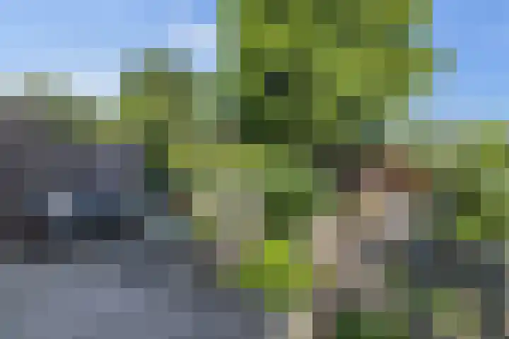 Plaswijcklaan 44 Rotterdam thumbnail 16