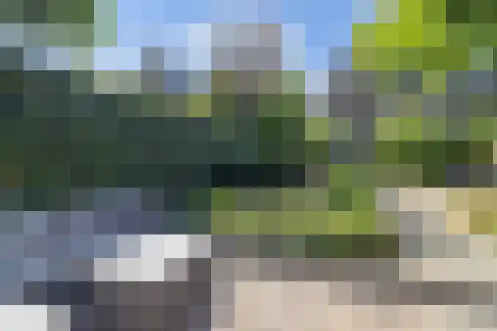 Plaswijcklaan 44 Rotterdam thumbnail 17
