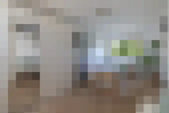 Plaswijcklaan 44 Rotterdam thumbnail 23