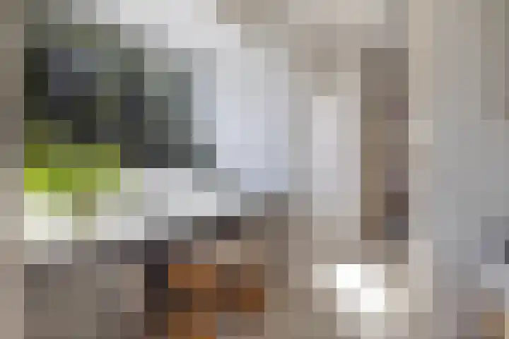 Plaswijcklaan 44 Rotterdam thumbnail 25