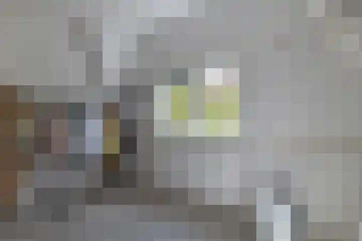 Plaswijcklaan 44 Rotterdam thumbnail 27