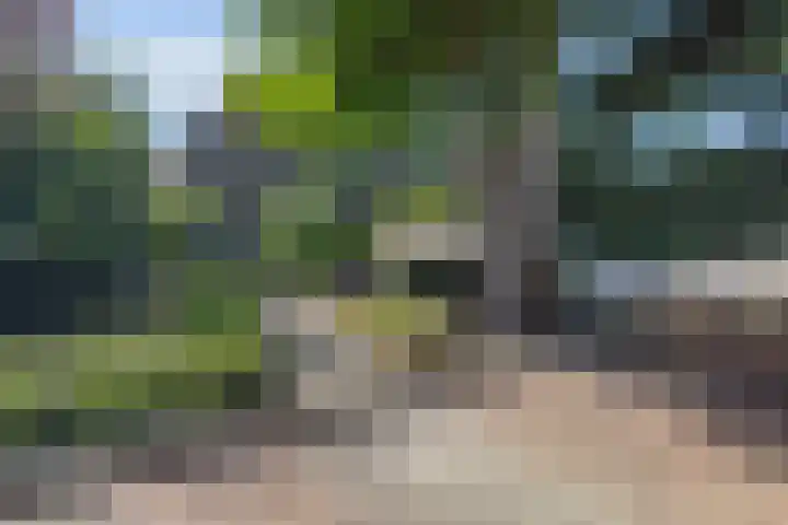Plaswijcklaan 44 Rotterdam thumbnail 30