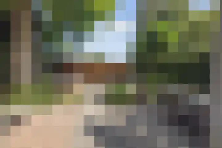 Plaswijcklaan 44 Rotterdam thumbnail 31
