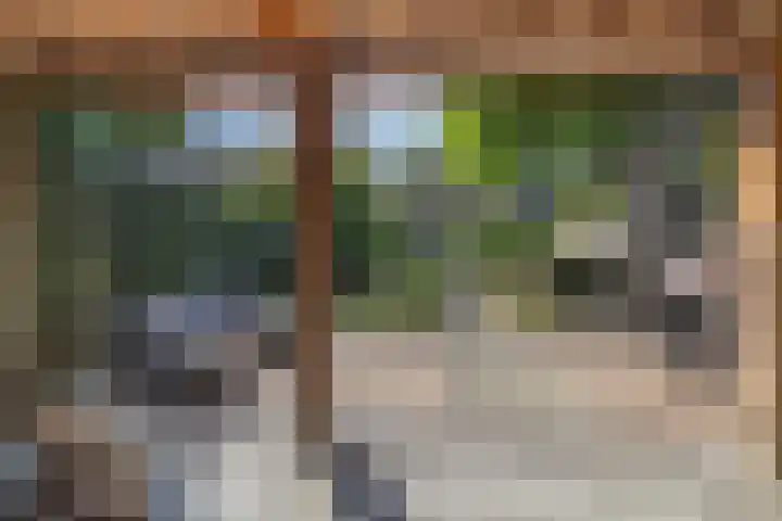 Plaswijcklaan 44 Rotterdam thumbnail 32