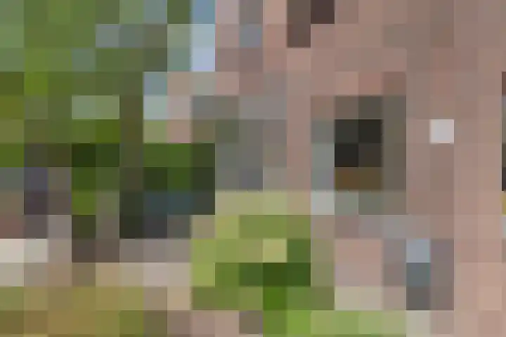 Plaswijcklaan 44 Rotterdam thumbnail 4