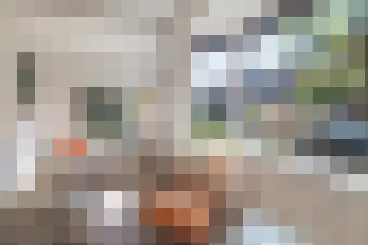Plaswijcklaan 44 Rotterdam thumbnail 6