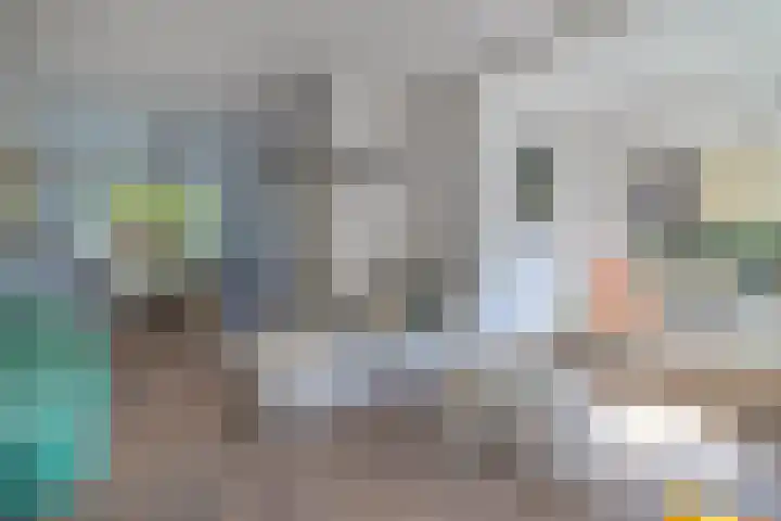 Plaswijcklaan 44 Rotterdam thumbnail 7